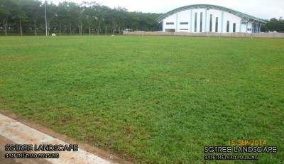 Sân bóng đá Công Ty Pousung Đồng Nai